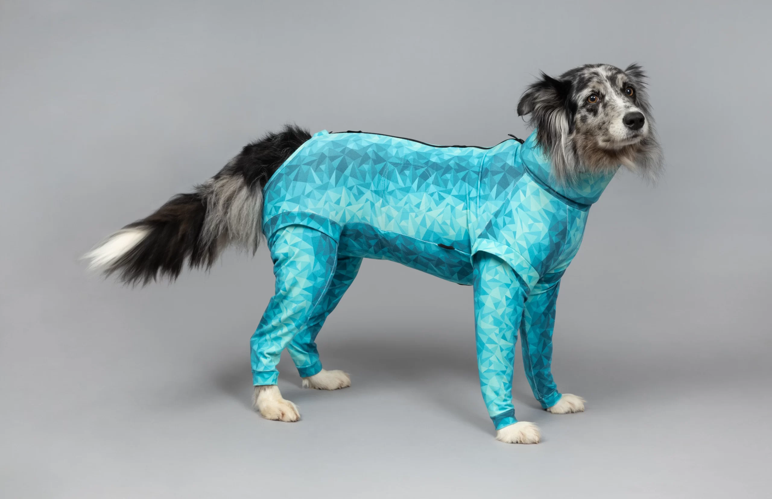 pet recovery suit